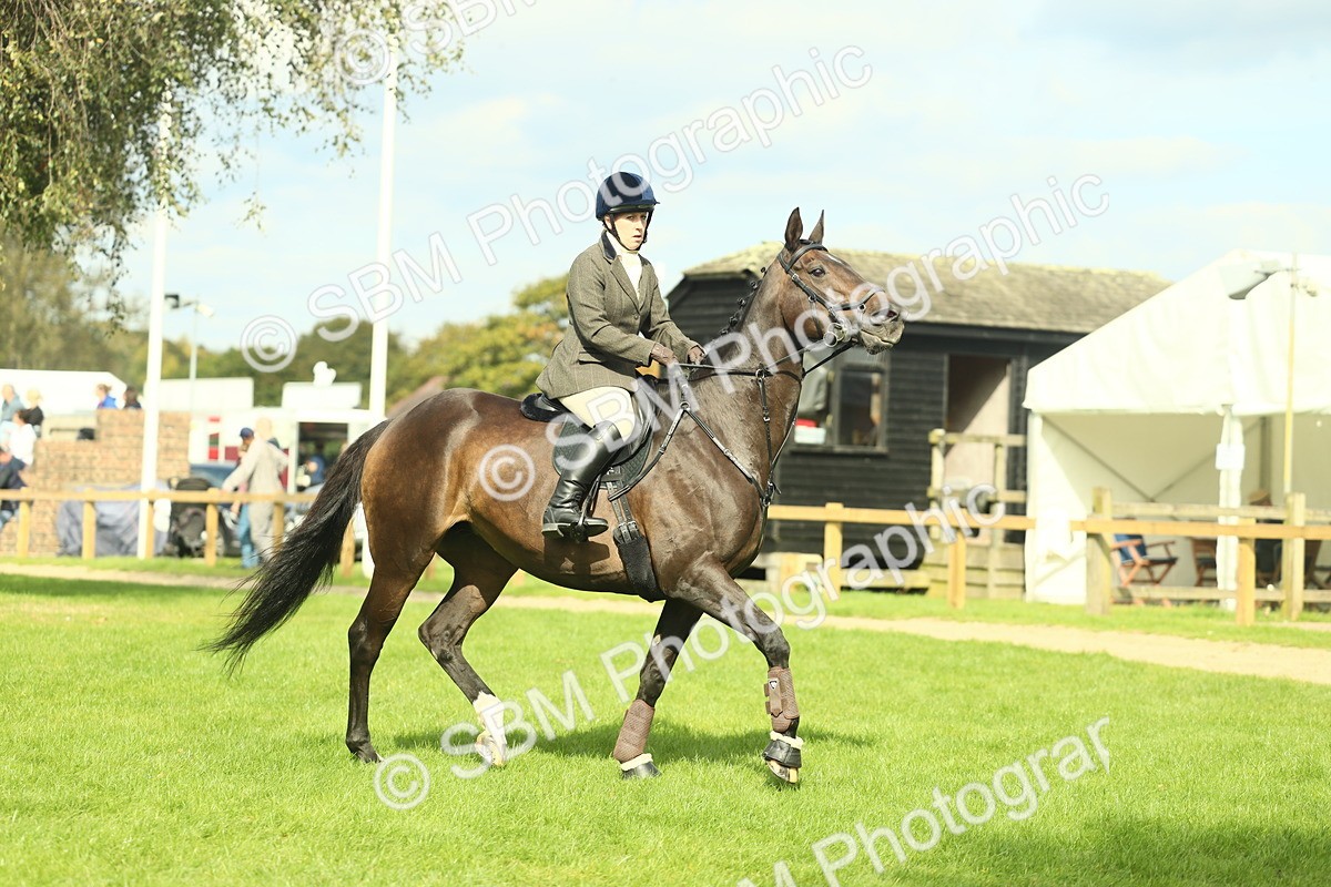 SBM_48011 - S32 - Novice & Newcomers Working Hunter