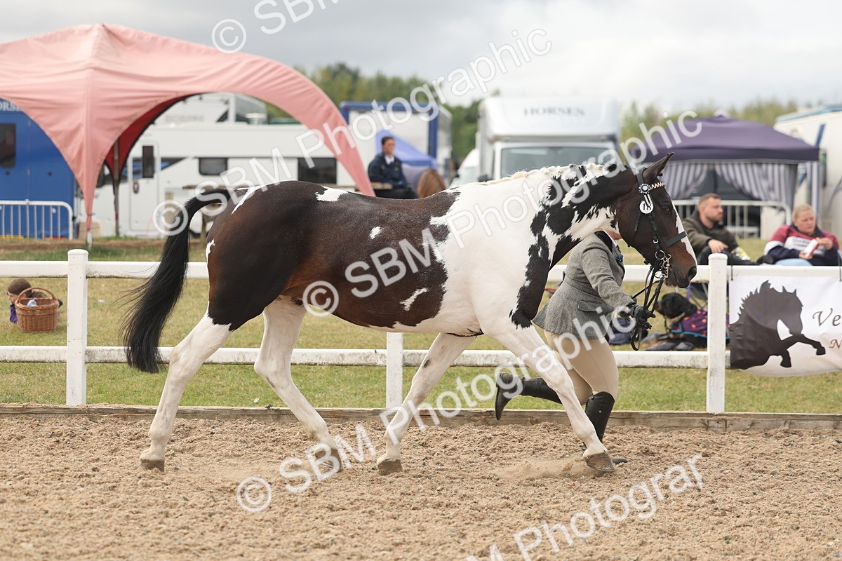 SBM_02063 - Class 15 - IH Coloured