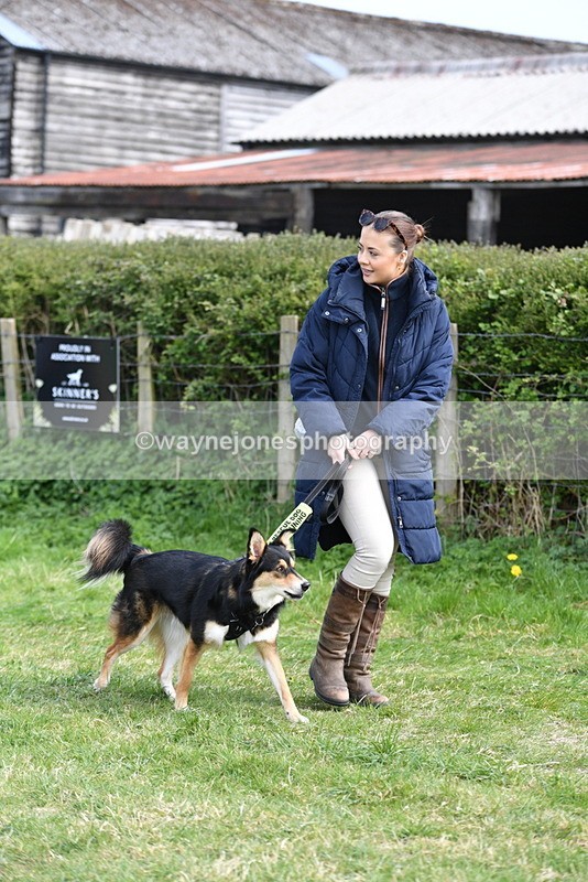 WJ5_0764 - Best in Show Championship