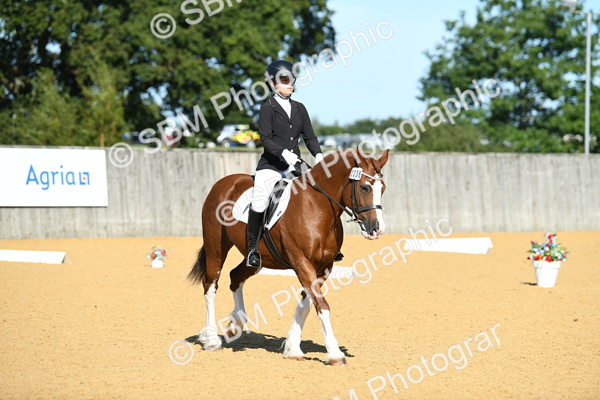SBM_18041 - D4 - Small Tour Championship - Intro B