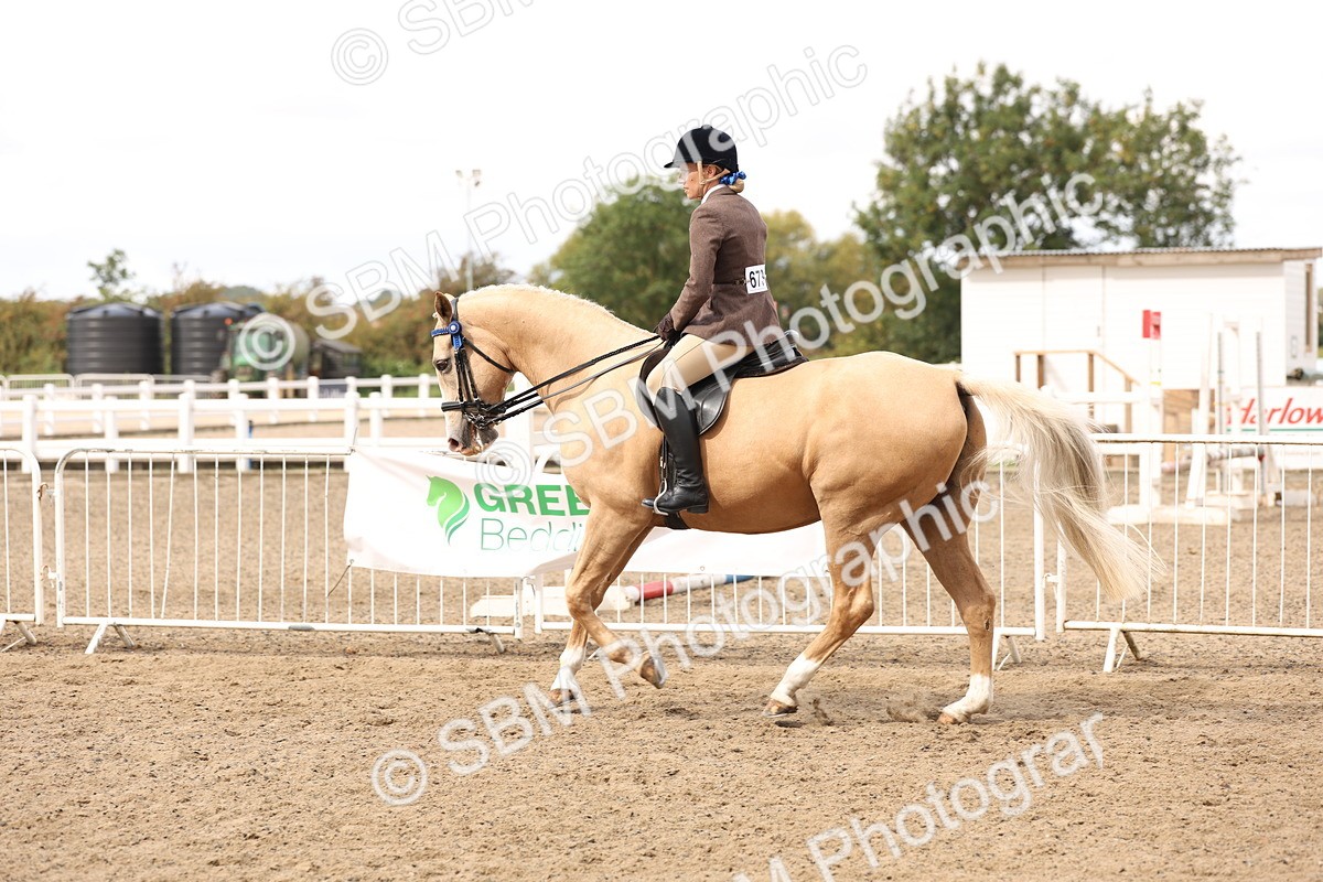 SBM_04231 - Class 54 - Riding Club Horse/Pony