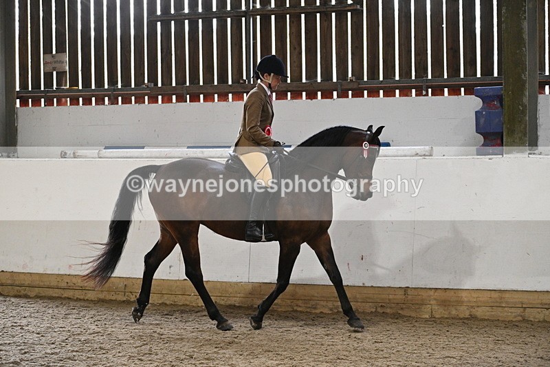 WJ7_4475 - Afternoon Champs