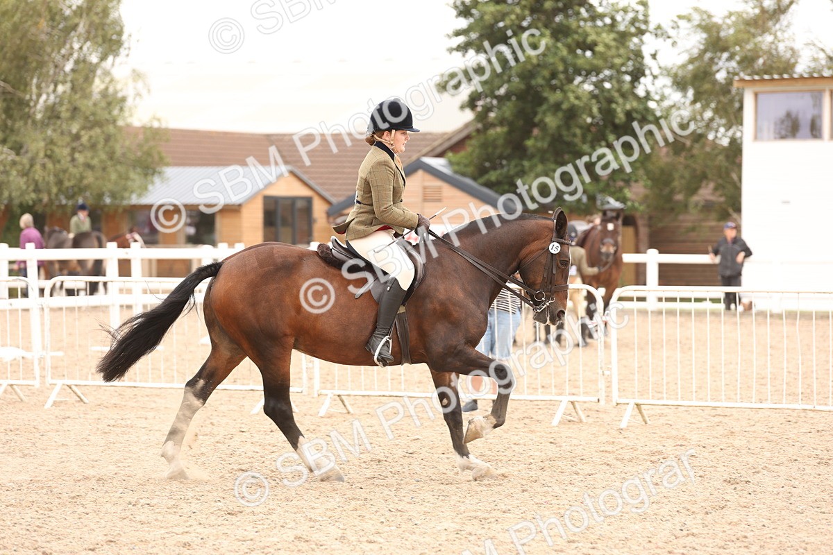 SBM_19536 - Class 215 - Ridden Show cob