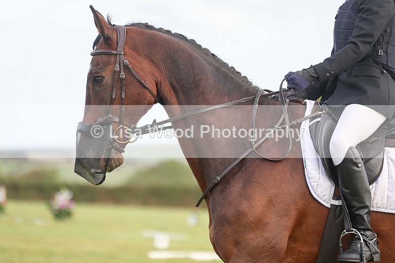 3E7A5345 - Class 1: Trebudannon Open: Dressage