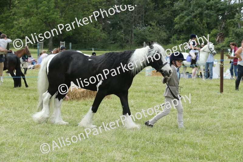 20260614-4283 - Class 18 - Best Junior Handler