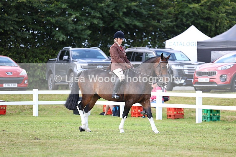 3E7A9620 - Class 5: Rising Star Lightweight/Heavyweight Cobs