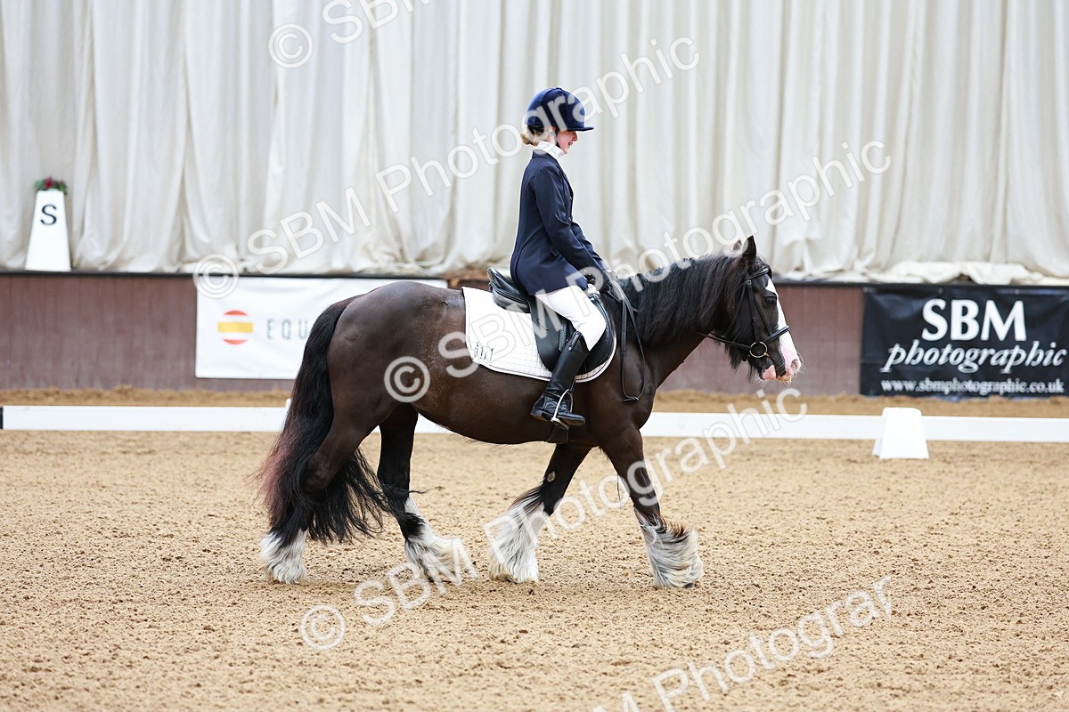 SBM_000800 - Class 11 - Prelim 2