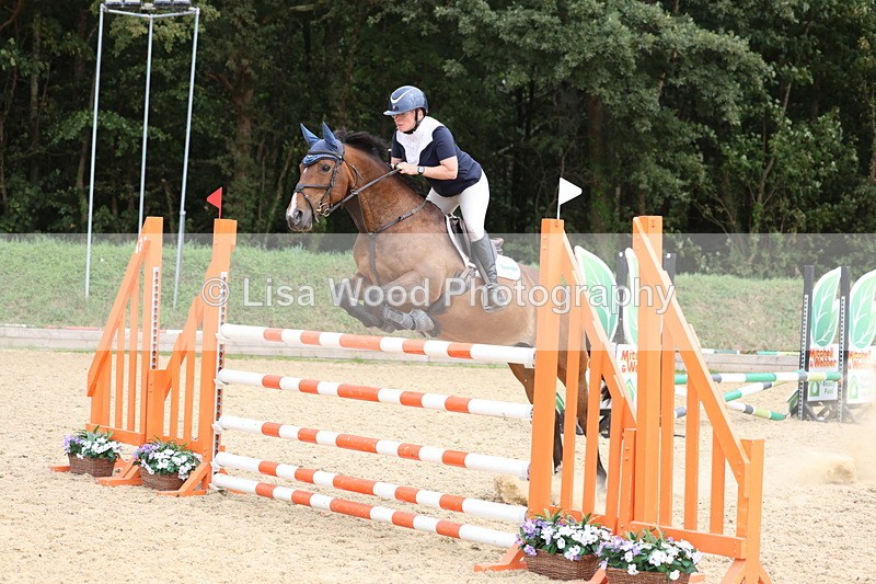 3E7A6527 - Class 9: Senior Foxhunter/1.20 open