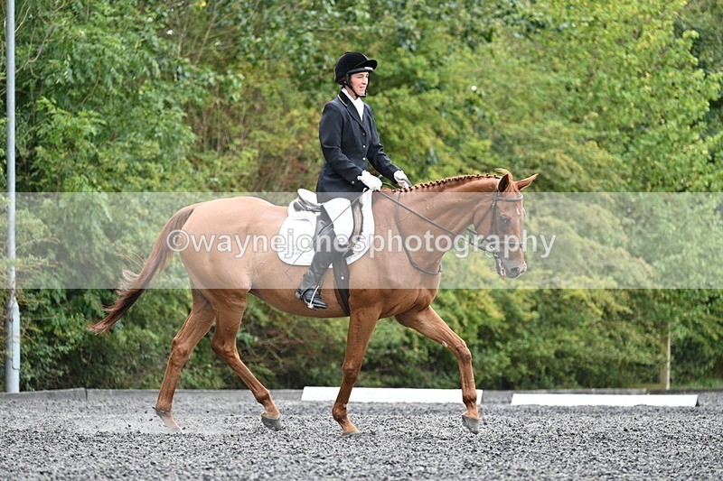 WJ7_7224 - Time 12:53 to 13:18