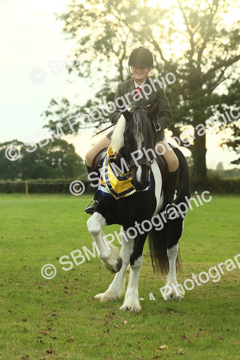 SBM_75329 - Super Supreme Championship