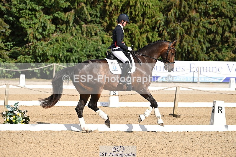 250808A-170049-02192 - Novice GOLD Presentations