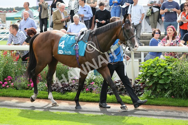 yr04092022r3-1 - Race 3 2.55pm The Elevator Company Garrowby Stakes