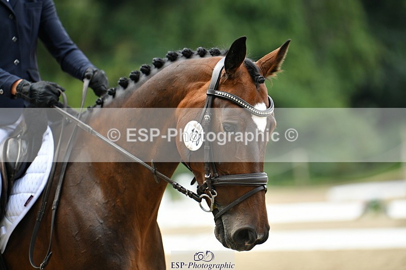 250718A-115815-01283 - 178-Abbie.Burbidge-Filanda