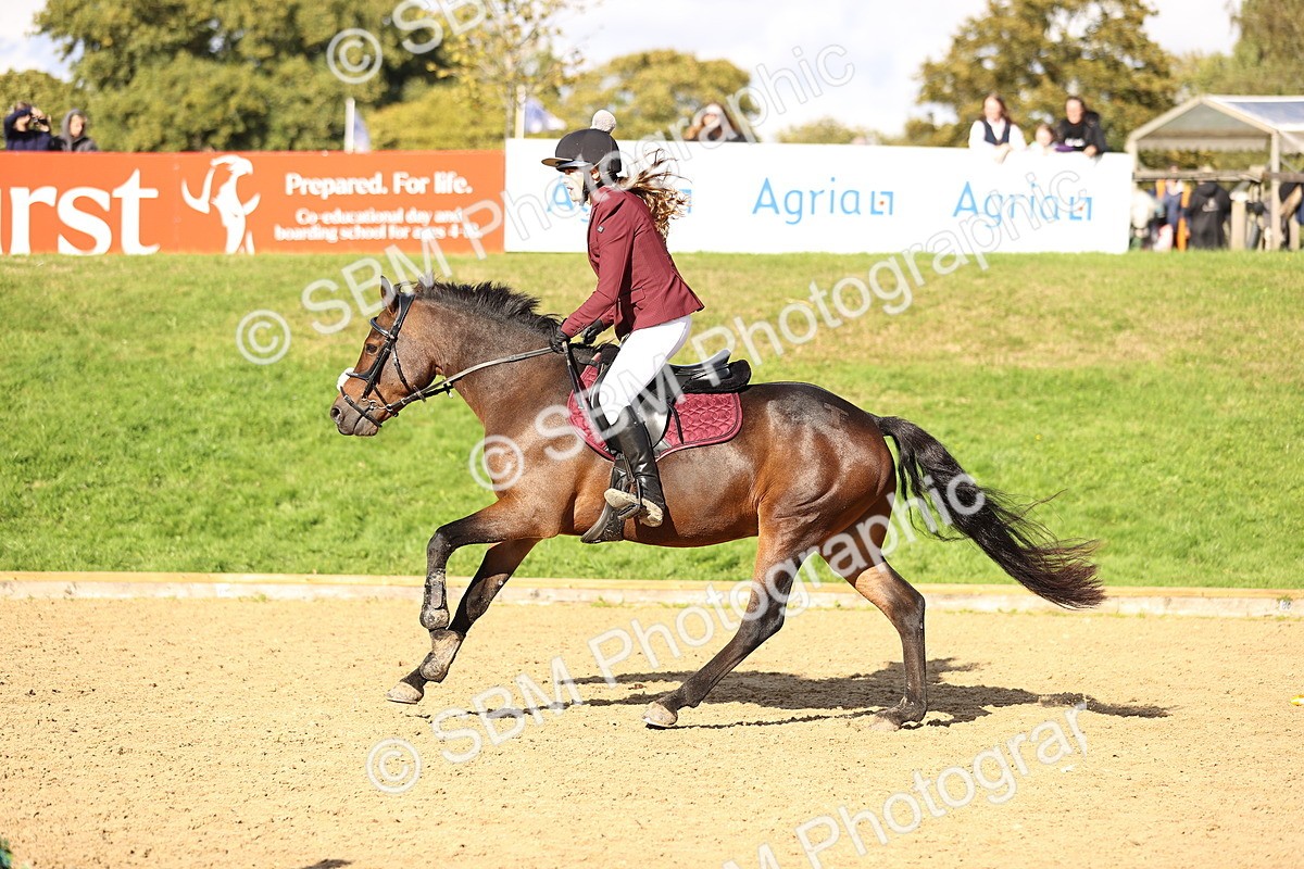 SBM_48313 - J9 - Junior Pony 70cm Championship