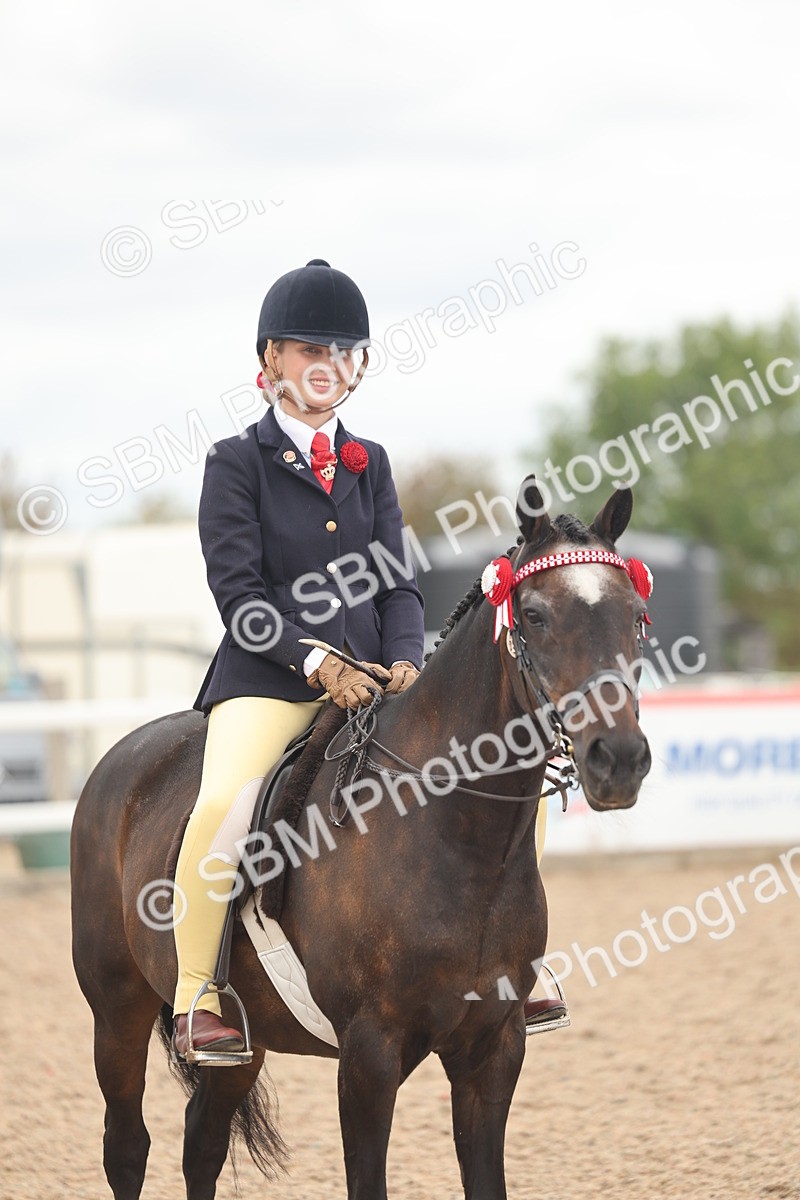 SBM_16044 - Class 311 - Ridden Show pony-Show hunter Pony