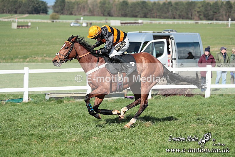 PtP 230324 563 - Tedworth Hunt PtP Larkhill Raccourse 23rd March 2024