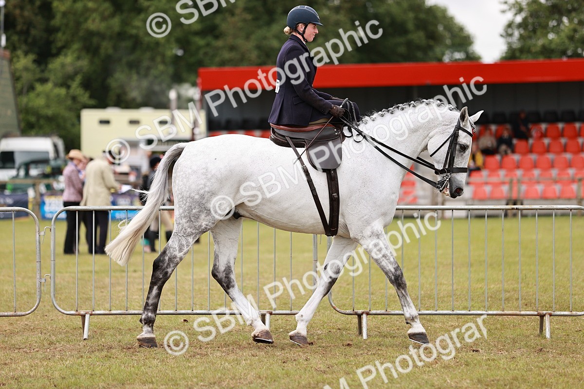 SBM_10965 - Class 81-84 - RIHS Ridden hunters Inc Ladies Hunter