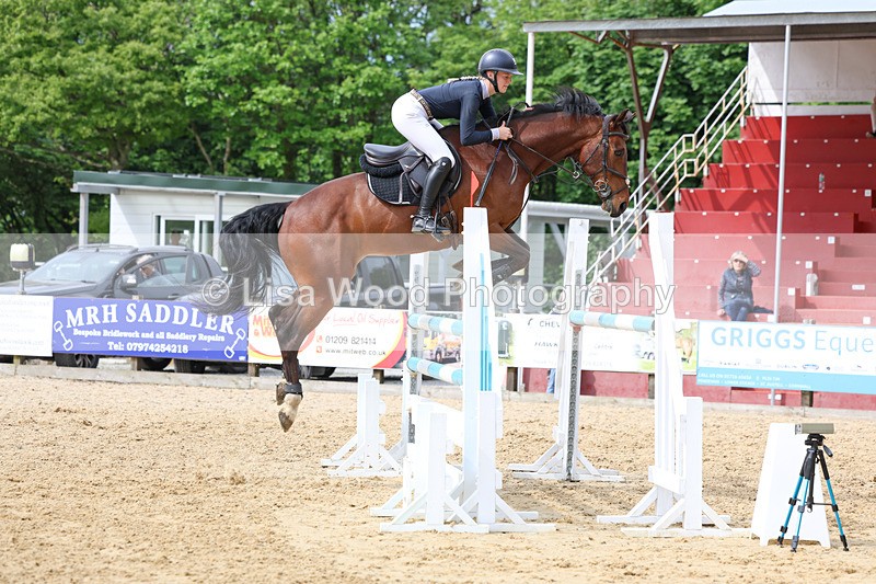 3E7A7698 - Class 8: Senior Foxhunter/1.20 open