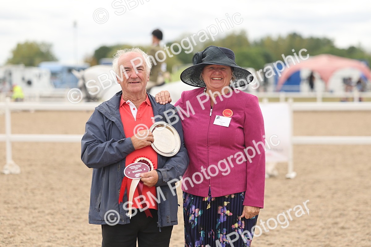 SBM_17024 - Class 312 - IH Competition Horse-Pony