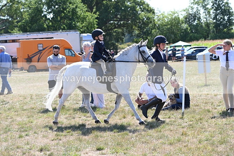 WJ6_7776 - Class 36 Lead Rein