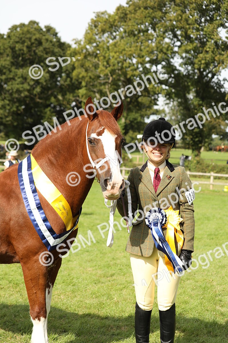 SBM_66376 - In Hand Pony & Youngstock Supreme Championship