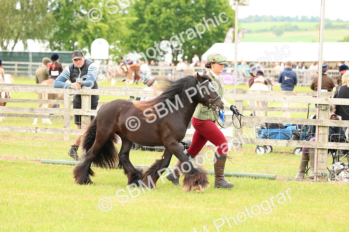 SBM_06277 - Class 39-41 TGCA In Hand and Ridden