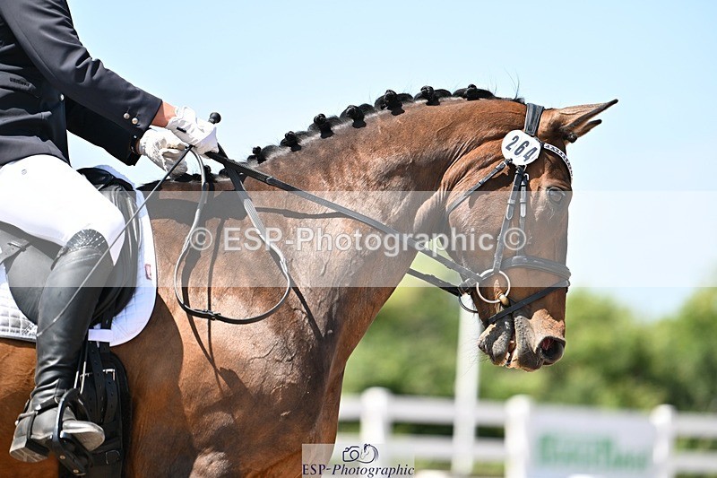 250620-141930-03751 - BD Cls 7 - Elementary 5, Start to 14.40pm