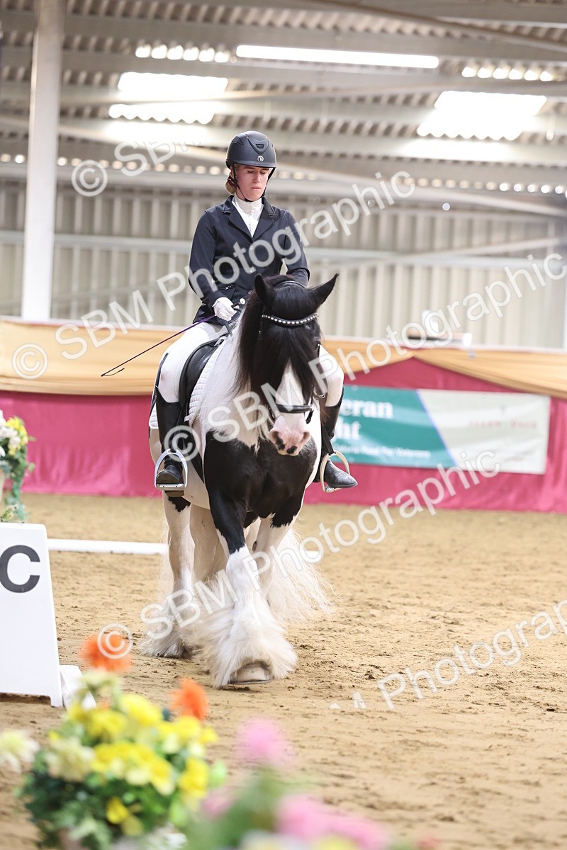 SBM_09381 - Class 51 - Dressage to music