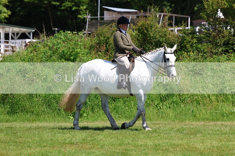 3E7A8160 - Class 13: Ridden Hunter