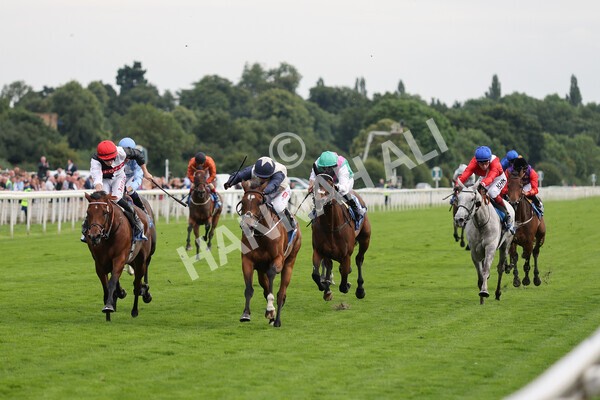 yr19082021r6-8 - Race 6 4.45pm British EBF & Sir Henry Cecil Galtres Stakes