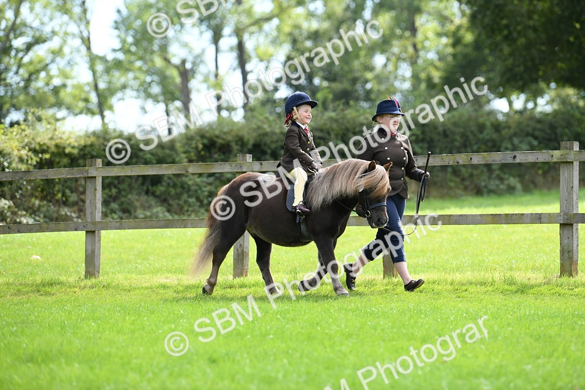 SBM_42503 - S20 - Lead Rein Mountain & Moorland Pony