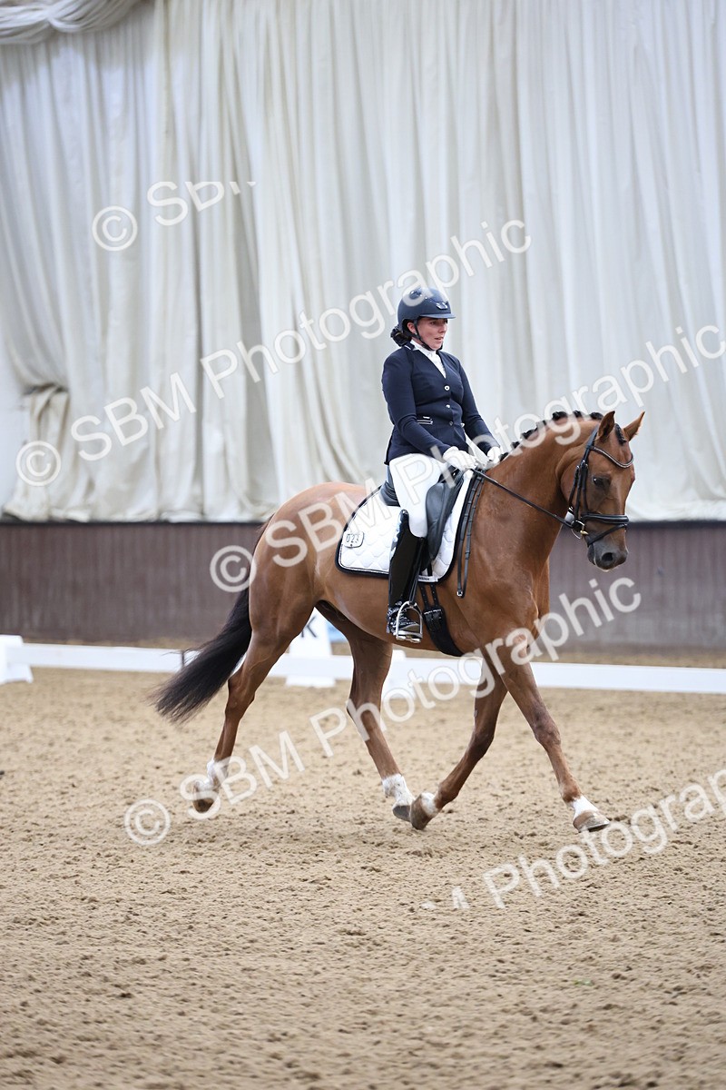 SBM_002884 - Class 5 - Novice 6 Gold - 10.24-11.30