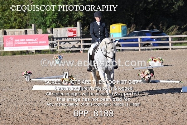 BPP_8188 - LONG ARENA