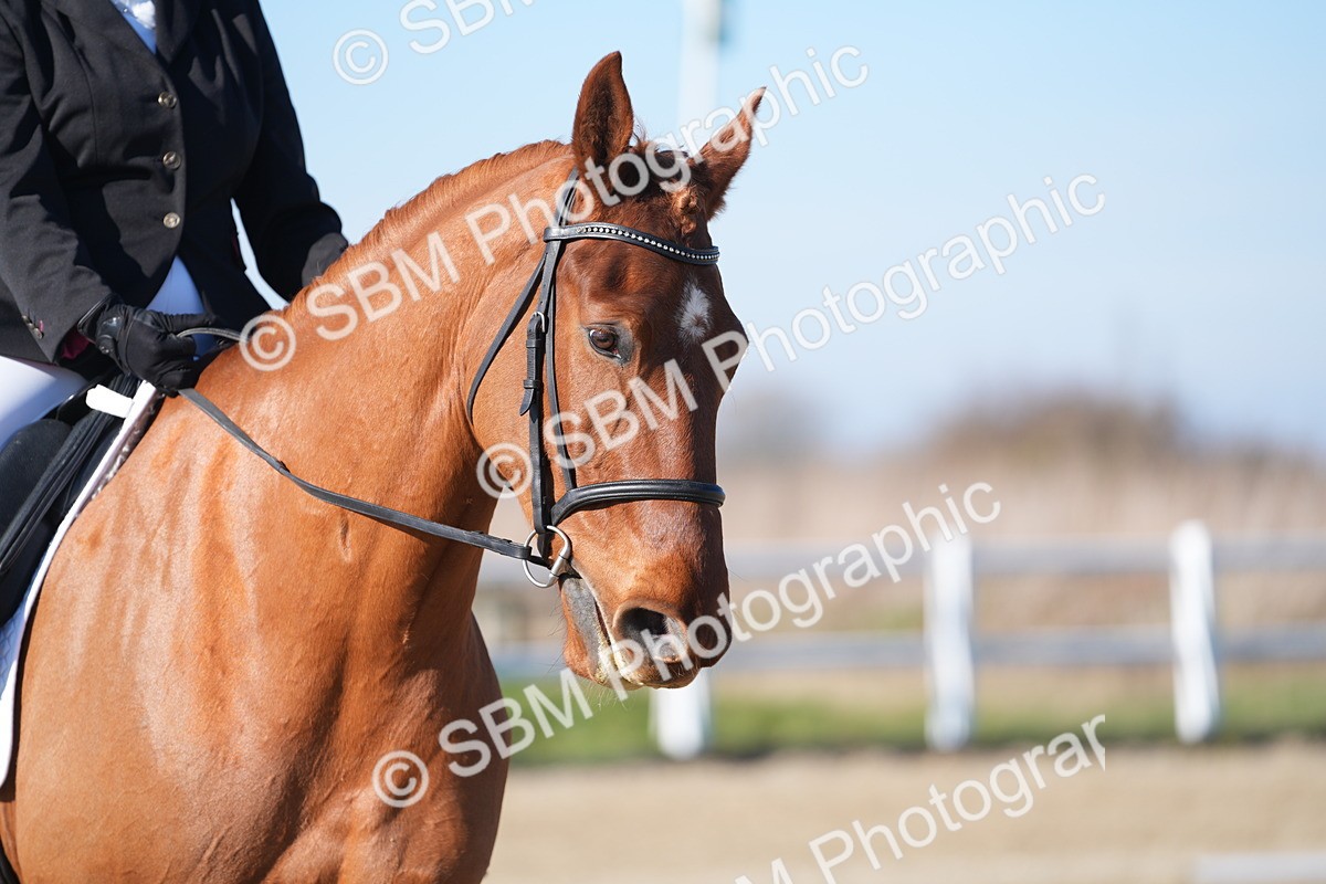 SBM_003355 - Class 3 - P2-80cm - E1