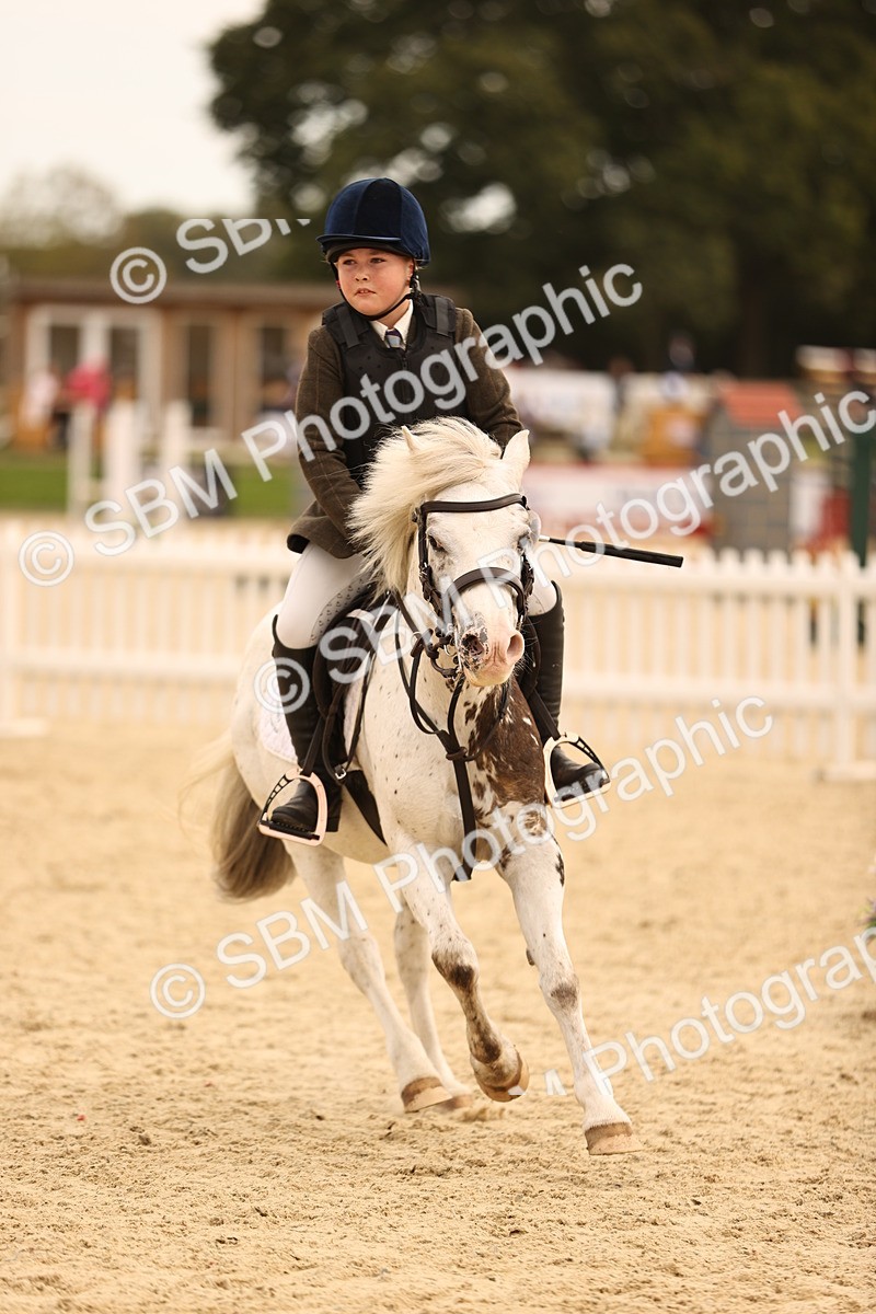 SBM_72479 - J14 - Junior Pony 65cm Championship