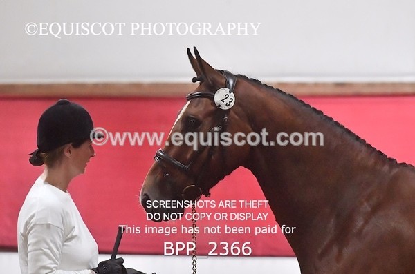 BPP_2366 - AFTERNOON 12.30 - 3.30PM