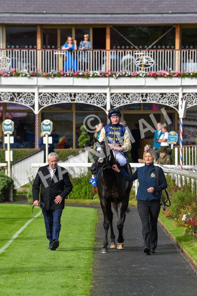 141023-Race 1-Purosangue-0562 - Race 1 1.15pm Coral Rockingham Stakes