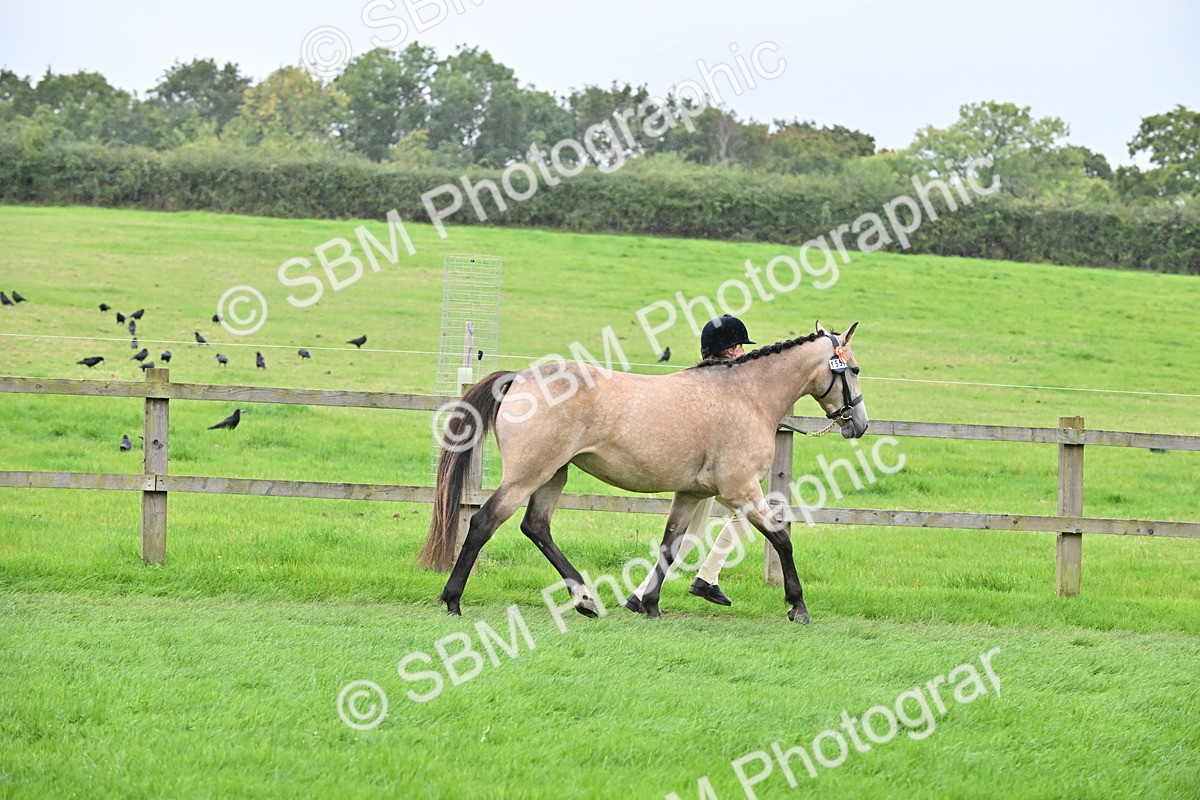 SBM_68664 - S42 - Junior Handler 9-12 Years