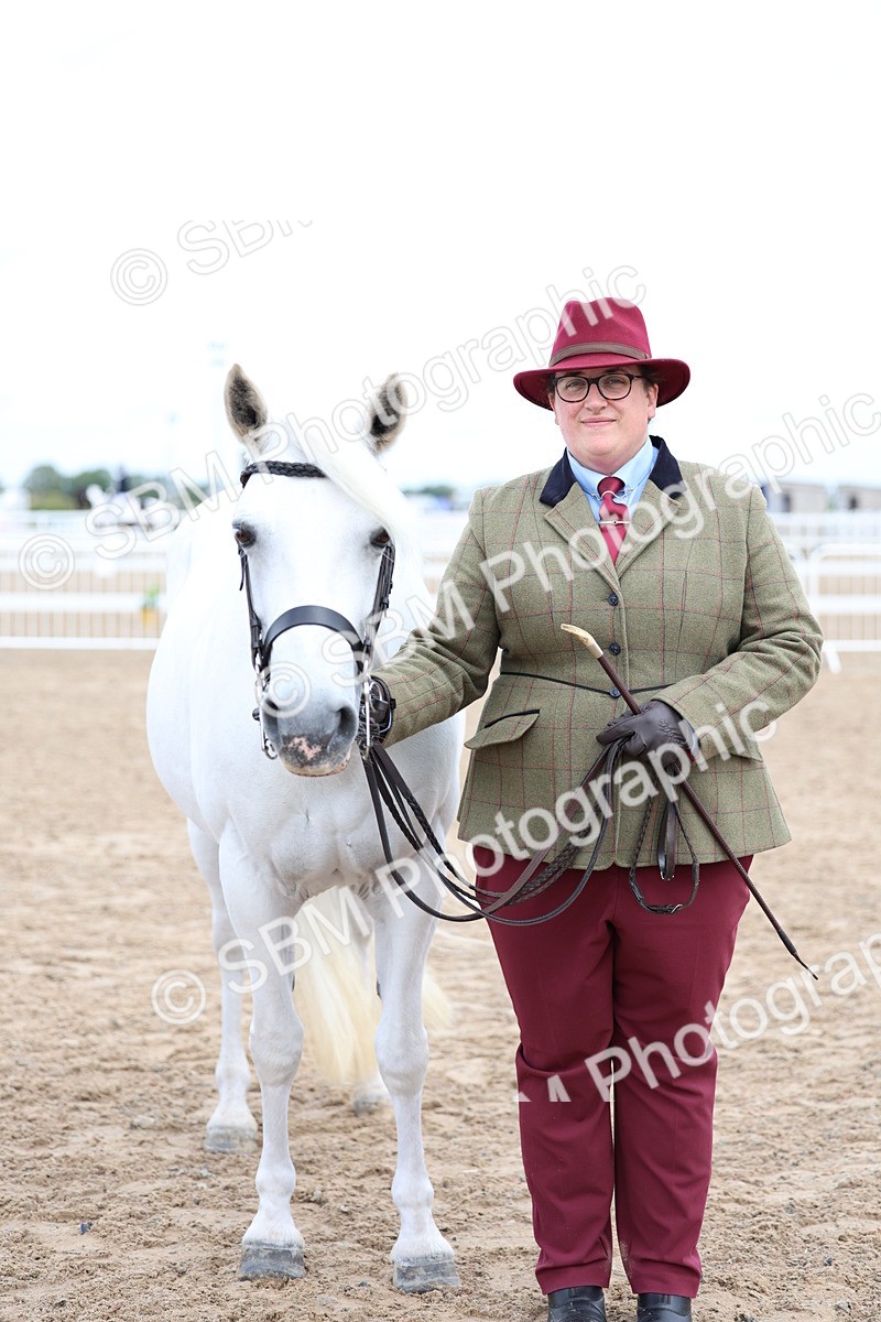 SBM_01483 - Class 17 - Prettiest Mare