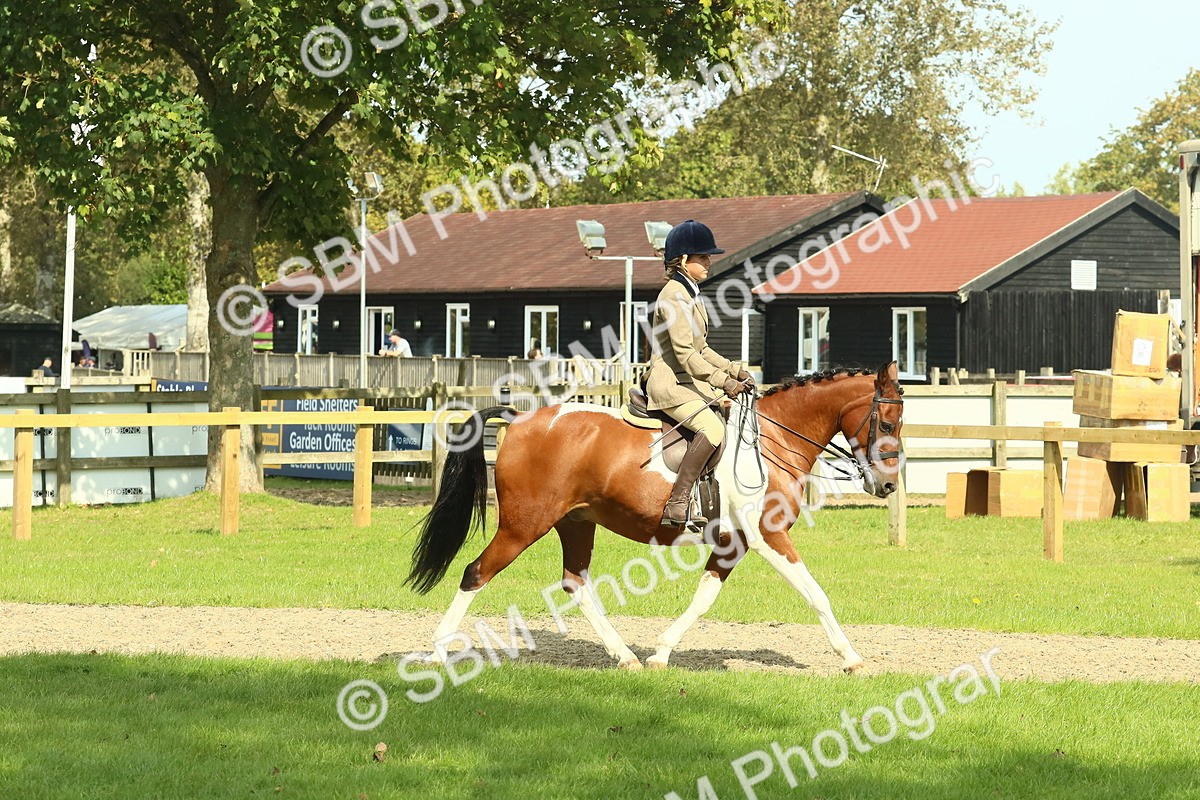 SBM_67487 - S56 - Coloured Pony Ridden