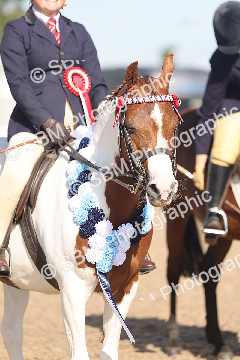 SBM_12413 - Class 304 - Ridden part Bred Horse Pony