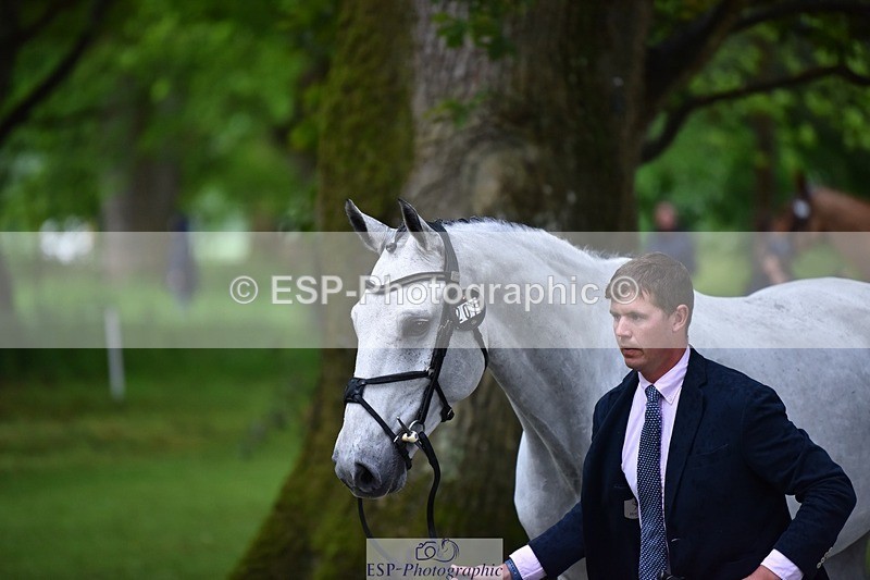 240522-162642-00921 - 207-IE_MR_MCGREGOR-Will_Furlong