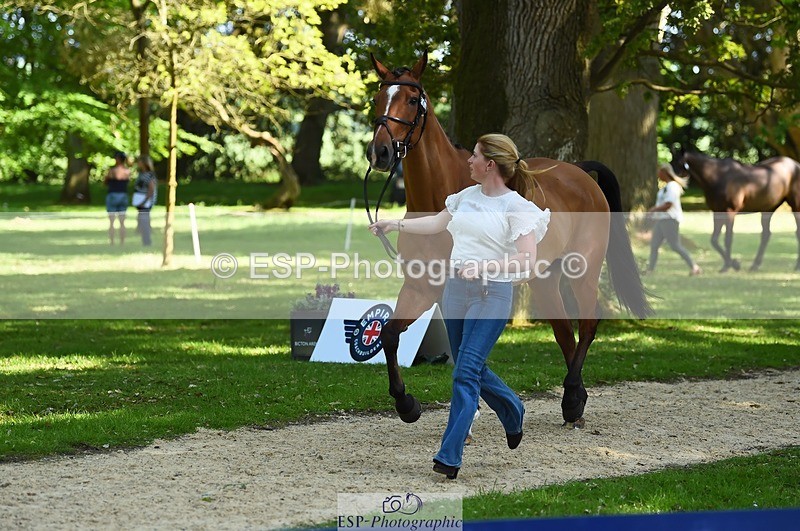 230524-155836-00589 - 206-MEXICAN_WAVE-Daisy_Bathe-WEDTrotUp+DR