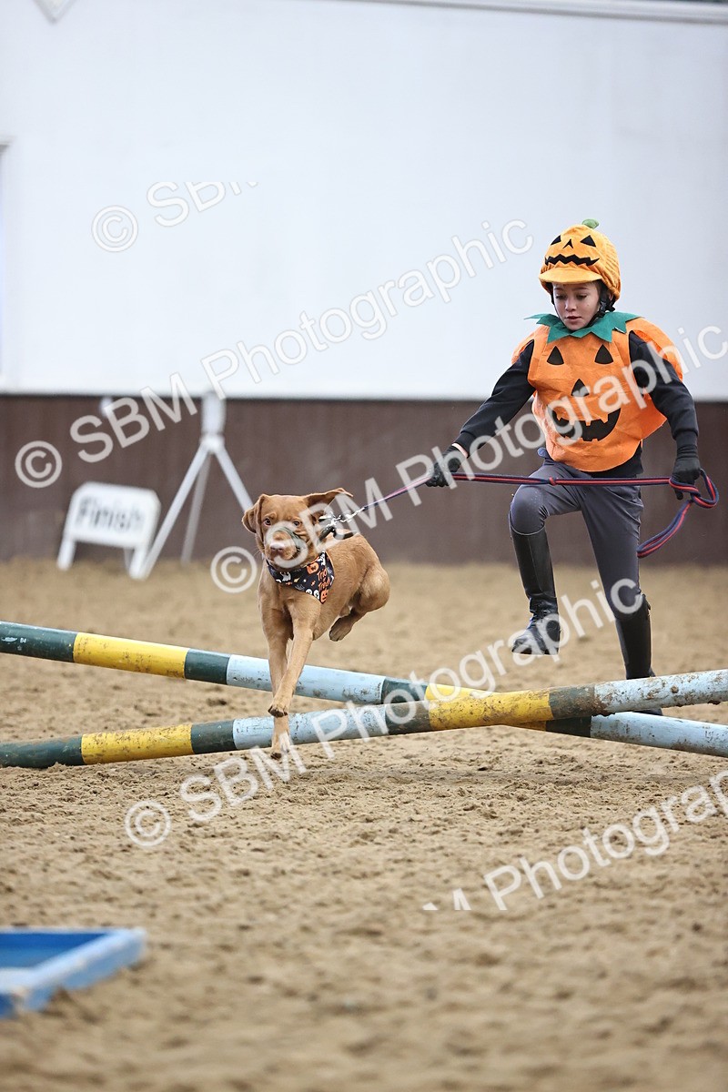 SBM_001368 - Class 3 - Horse & Hound 60cm