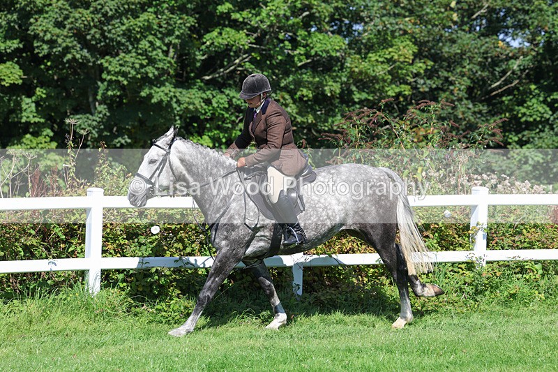 3E7A8413 - Class 4: Novice working Hunter