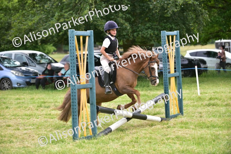 20260614-2687 - Class 13 - Pony Club Pony