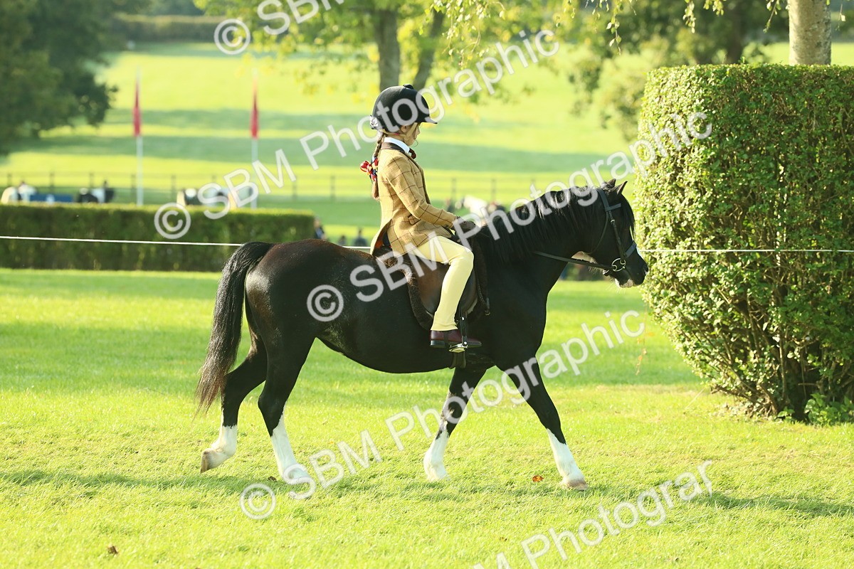SBM_59121 - S38 - Starters Ridden Showing