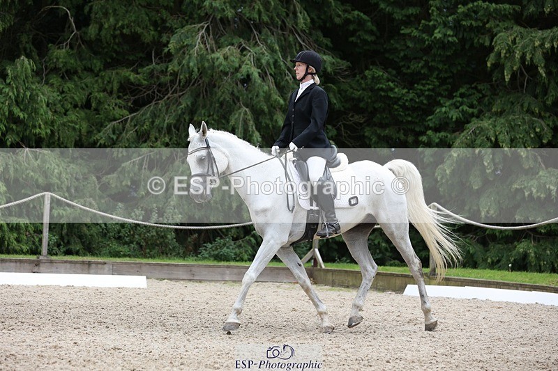 230812-151546-05085 - Cls 5 Novice Bronze 15.00 to End