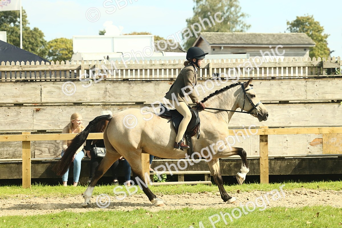SBM_67641 - S56 - Coloured Pony Ridden