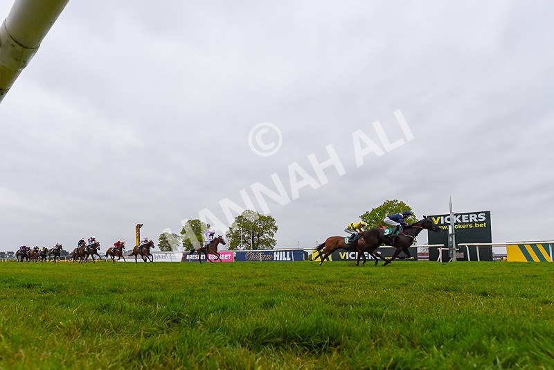 040524-Race 6-Vocal Studies-8815 - Race 6